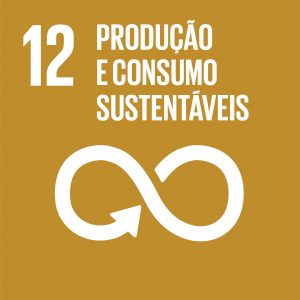 ODS 12 — Produção e consumo sustentáveis