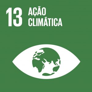 ODS 13 — Ação climática