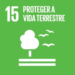 ODS 15 — Proteger a vida terrestre
