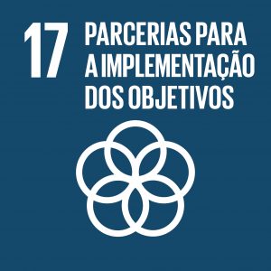 ODS 17 — Parcerias para os objetivos